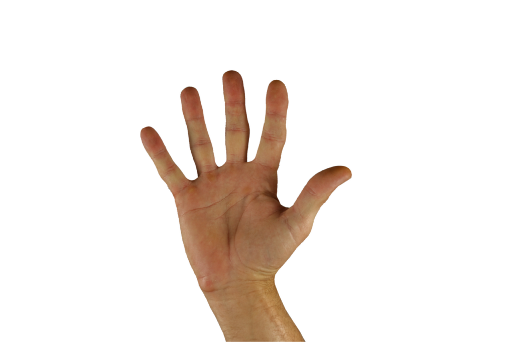 hello, greeting, hand, finger, five, sign language, hello, hello, hello, hello, hello, five, five, five