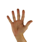 hello, greeting, hand, finger, five, sign language, hello, hello, hello, hello, hello, five, five, five